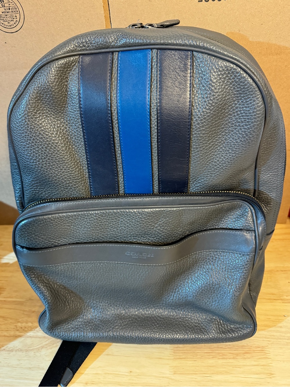 Coach Men's Gray Leather Backpack with Blue Stripe